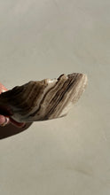 Load image into Gallery viewer, Chocolate Banded Crystal Onyx Dish #3