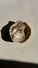 Load image into Gallery viewer, Chocolate Banded Crystal Onyx Dish #3