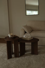 Load image into Gallery viewer, Clear Quartz Cluster- Statement Piece Crystal #B