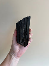 Load image into Gallery viewer, Black Tourmaline Crystal - X Grade #7 - Little Quartz Co Crystals