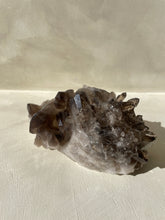 Load image into Gallery viewer, Smokey Quartz Crystal Cluster #1
