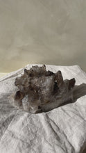 Load and play video in Gallery viewer, Smokey Quartz Crystal Cluster #1
