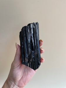 Black Tourmaline Crystal - X Grade #7 - Little Quartz Co Crystals